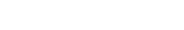 リンギストの主な役割
