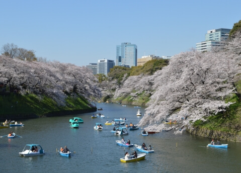 千鳥ヶ淵公園